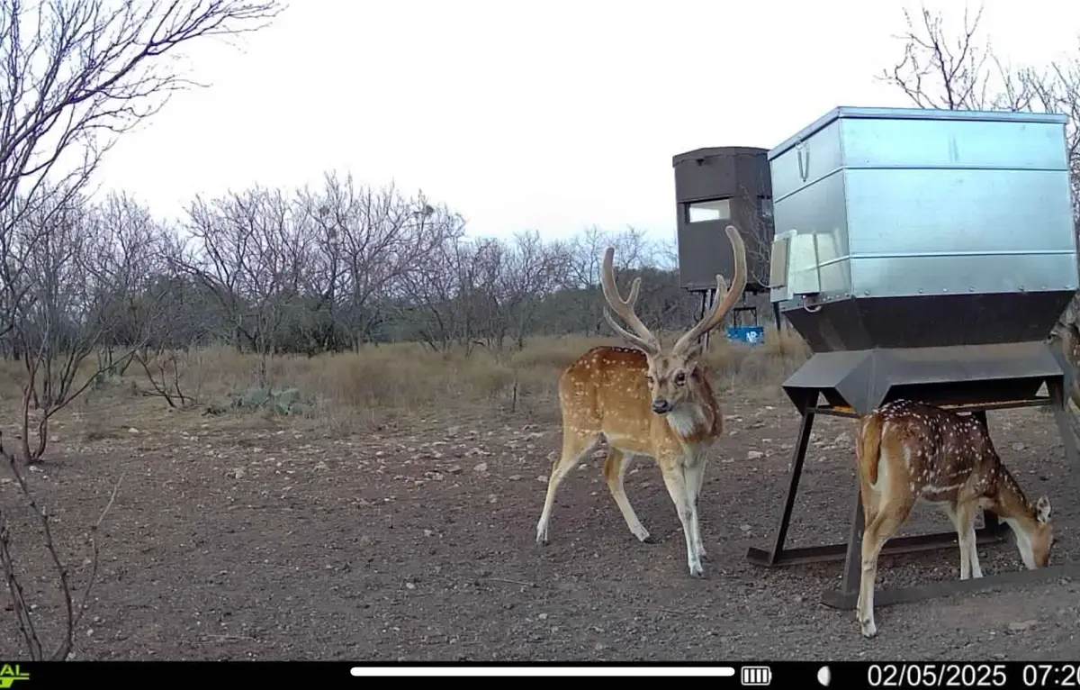 371 Axis Court, Melvin, TX 76858 - Image #1