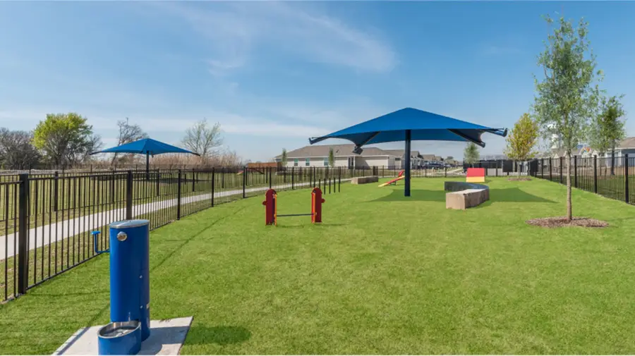 336 Ardsley Lane, Princeton, TX 75407 - Image #3