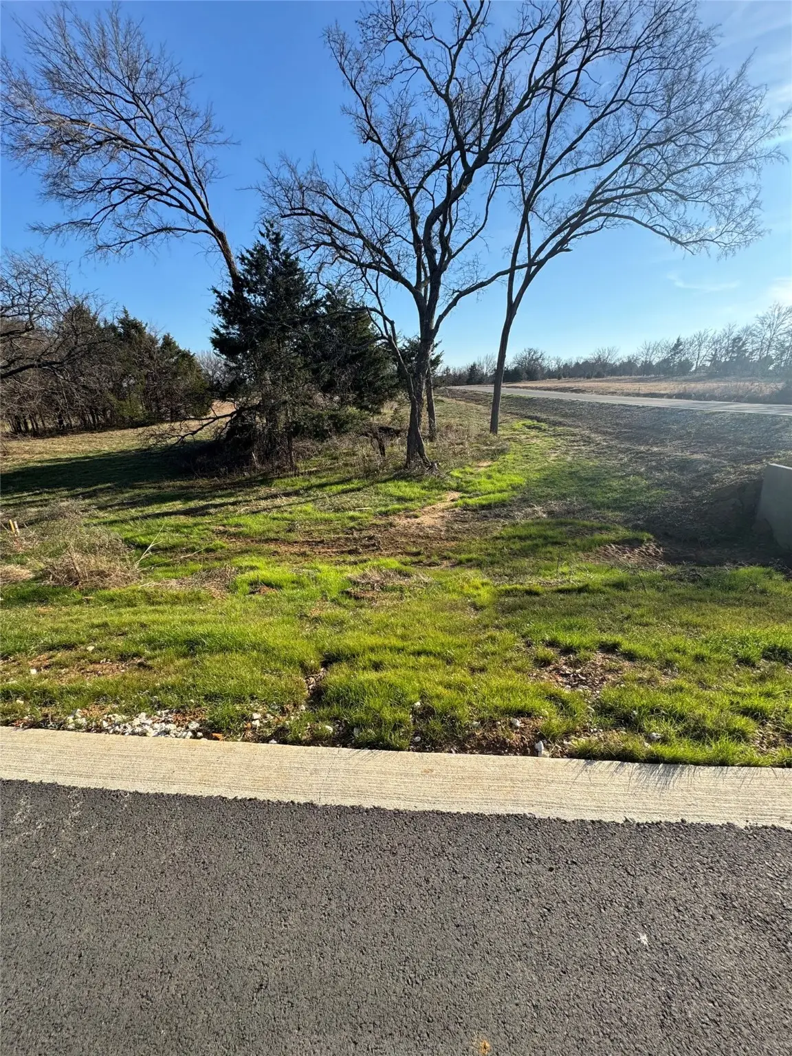 Lot 22 Medallion Club Street, Gordonville, TX 76245 - #1