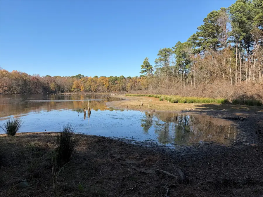 2777 County Road 4875, Pittsburg, TX 75686 - #2