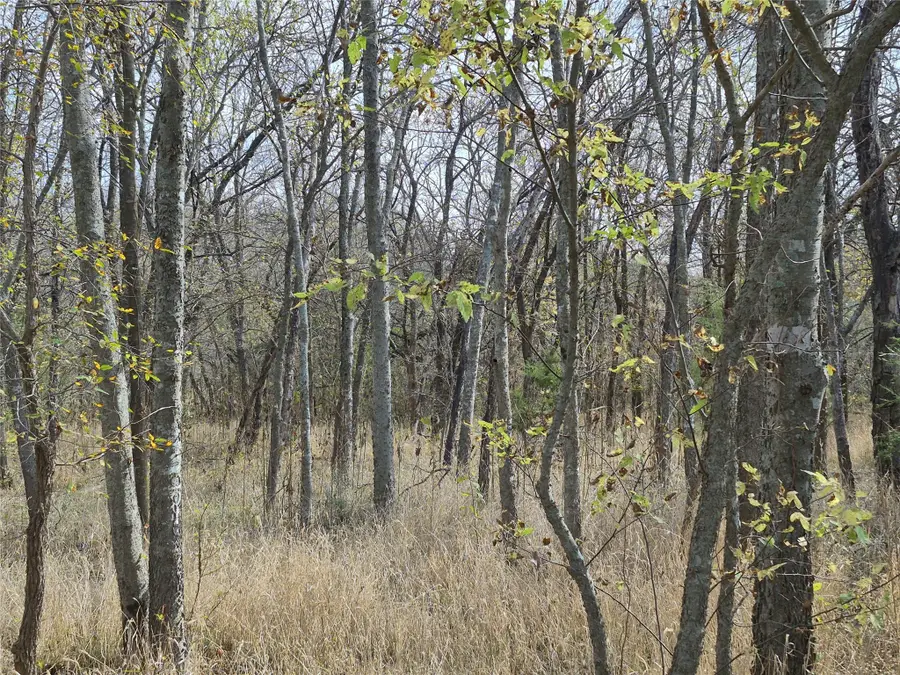 1386 Palmyra Road, Palmer, TX 75152 - #2