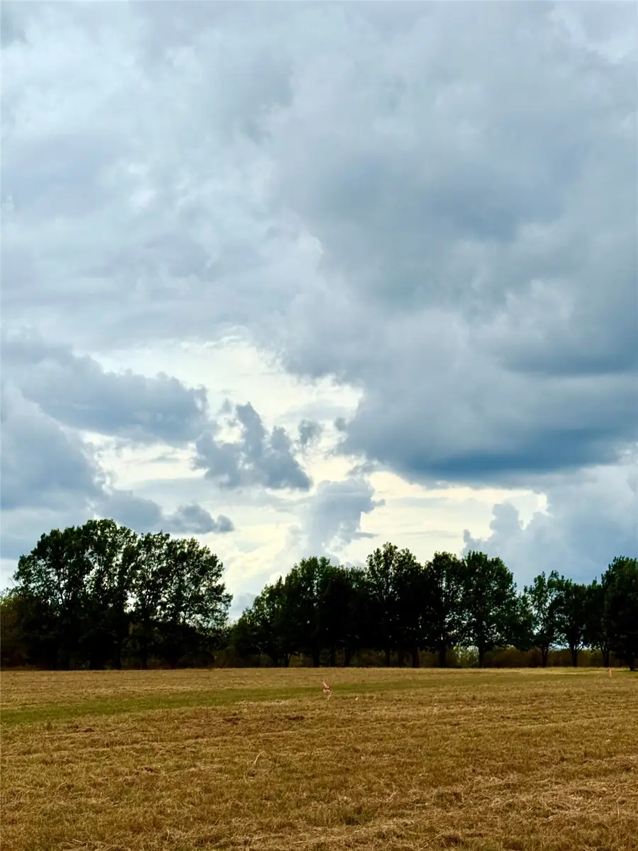 TBD Lot 11 County Road 3811, Wills Point, TX 75169 - #3