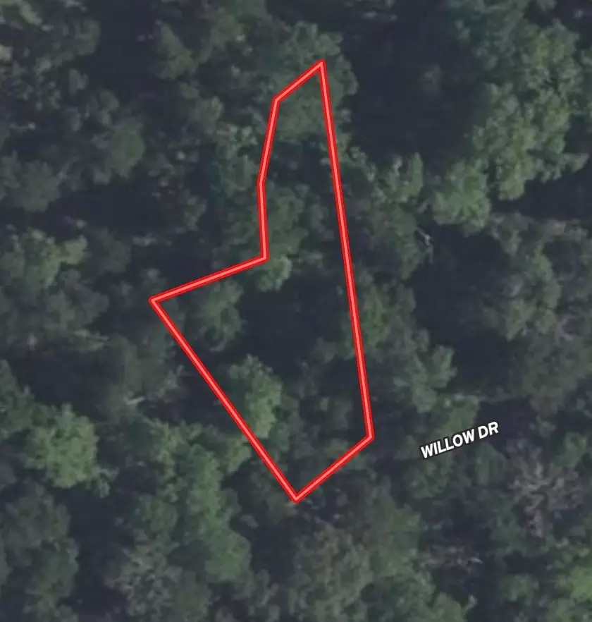 Lot 118 Willow Dr, Wills Point, TX 75169 - Image #1