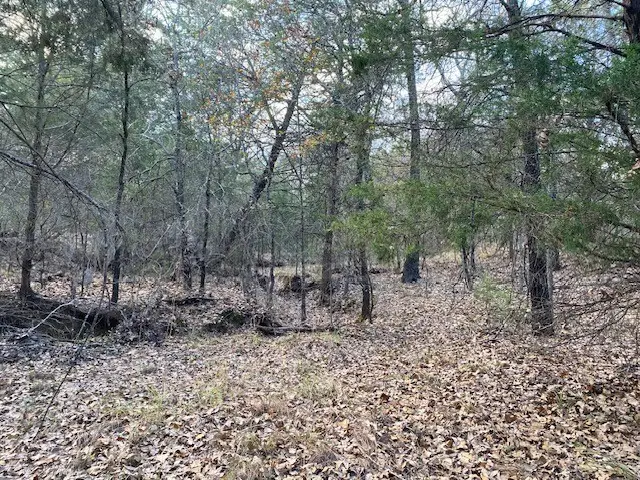 TBD Cr 1200, Malakoff, TX 75148 - Image #2