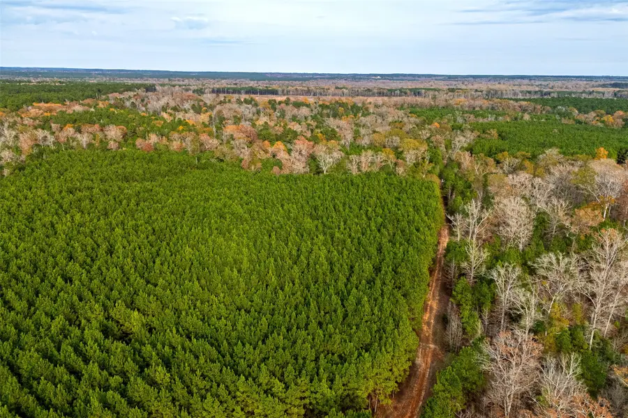 000 County Road 511, Kennard, TX 75847 - Image #2