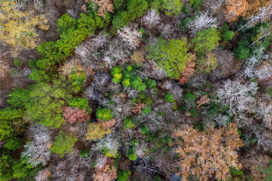 000 County Road 511, Kennard, TX 75847 - Image #3