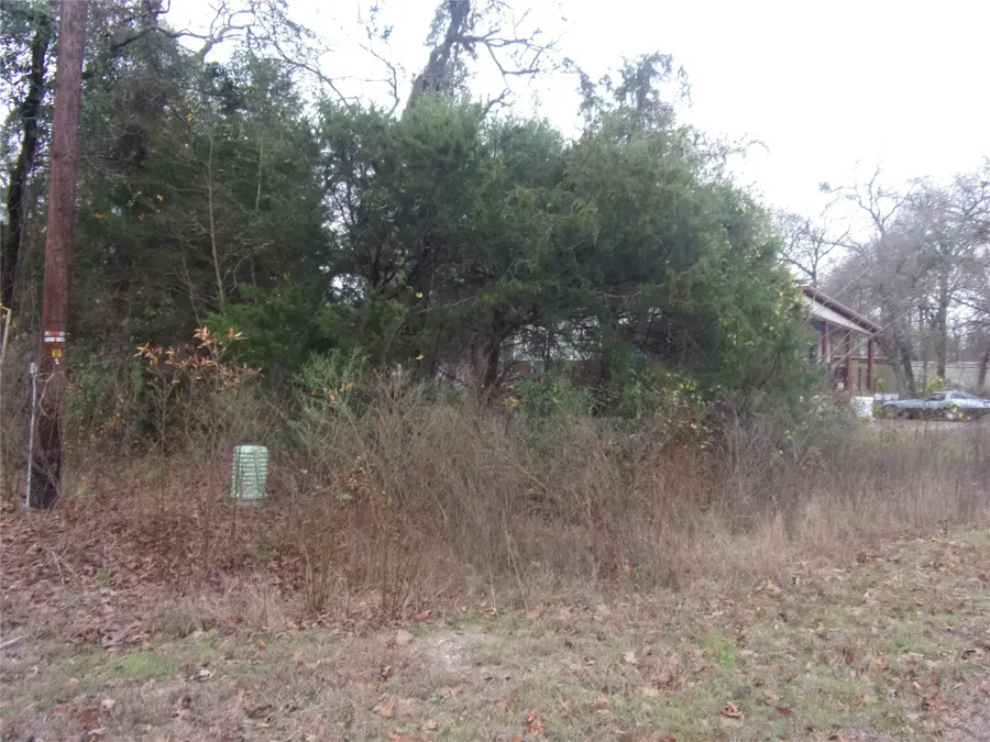 tbd E Elm Drive, Murchison, TX 75778 - Image #3