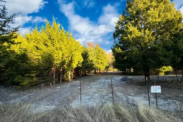 TBD County Road 919 #Lot 23A, Nevada, TX 75173