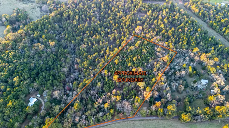 4201 County Road 273, Garrison, TX 75946 - Image #3