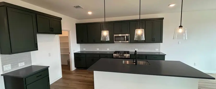 737 Waterhouse Lake Drive, Anna, TX 75409 - Image #3