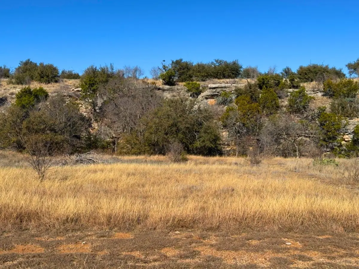 Lot 53 Eastern Hills Drive, Graford, TX 76449 - Image #1