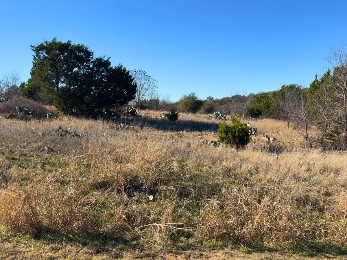 Lot 115 Balleycastle Drive, Graford, TX 76449 - Image #1