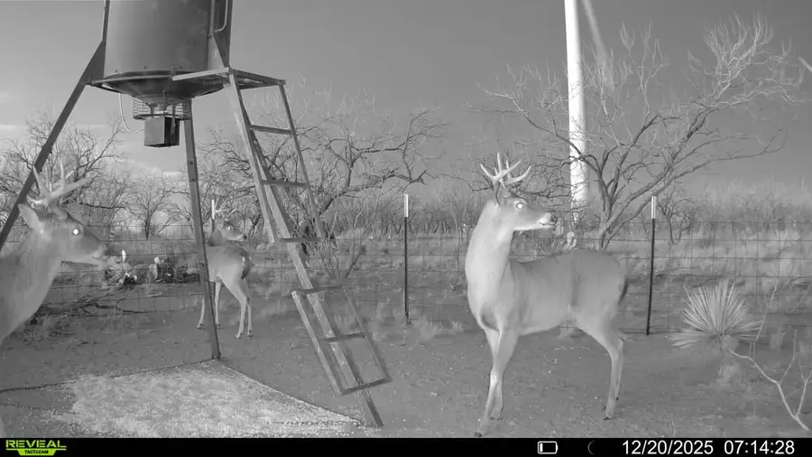 CR 450 Cr 450, No City, TX 79526 - Image #2