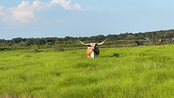 4565 County Road 140-a, Stephenville, TX 76401