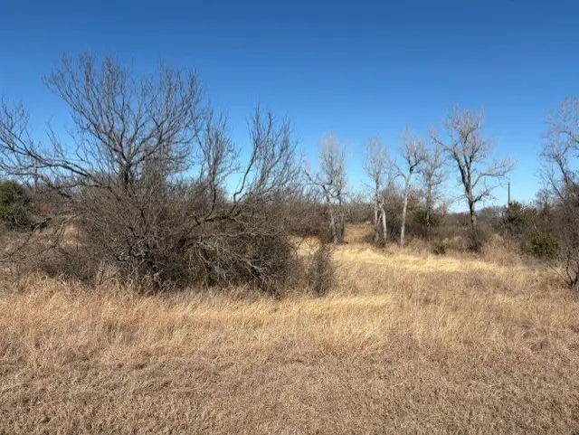 Lot 34 Eagles Way, Springtown, TX 76082 - Image #3