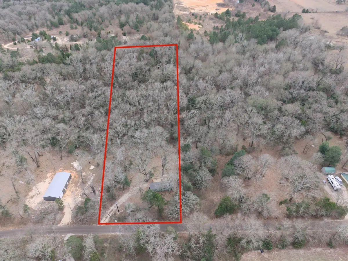 24773 Cr 460, Grand Saline, TX 75140 - #1