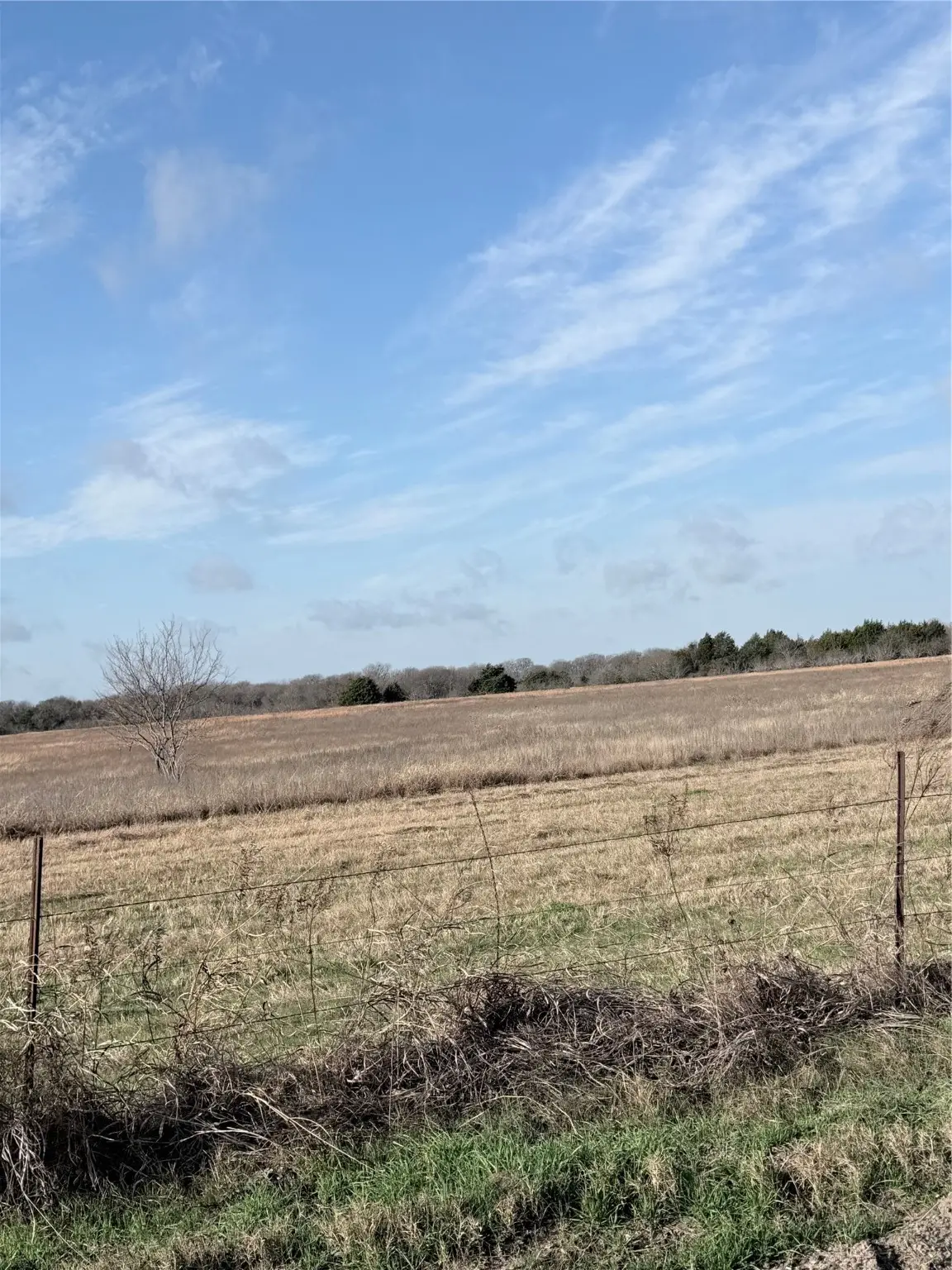 TBD NE County Road 2140, Kerens, TX 75144 - Image #1