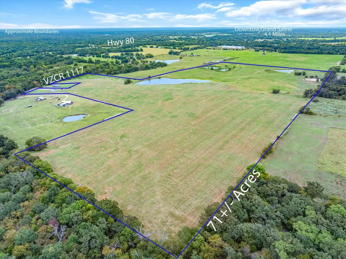 TBD (71 Acres) Vz County Road 1117, Grand Saline, TX 75140 - Image #1