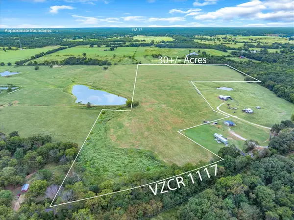 TBD (30 Acres) Vz County Road 1117, Grand Saline, TX 75140