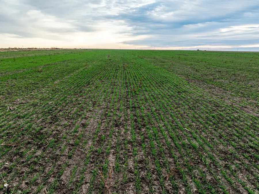 1 County Road 119, Haskell, TX 79521 - Image #2