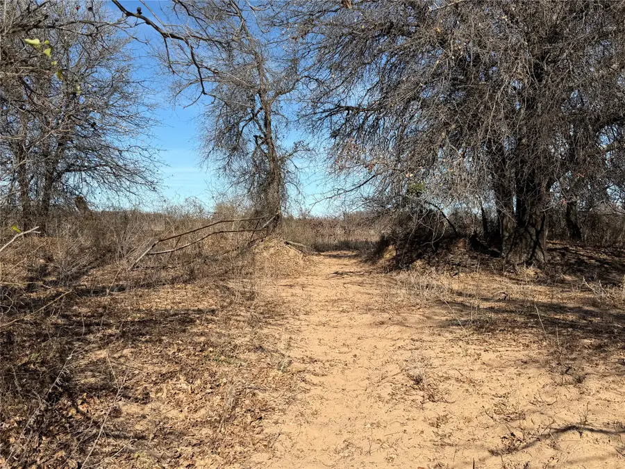 TBD Cr 415, Cross Plains, TX 76443 - Image #2