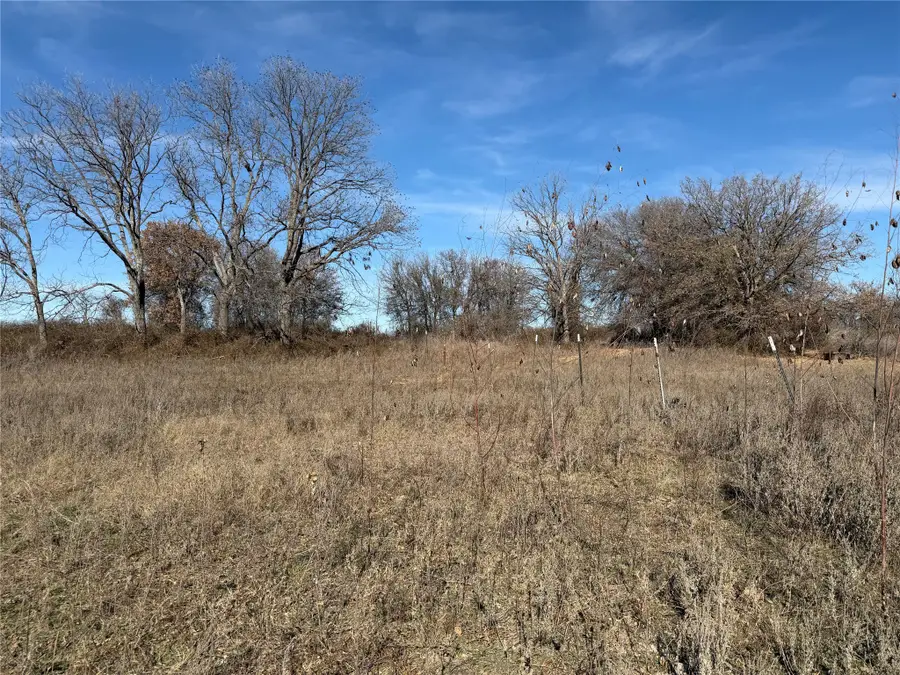TBD Cr 415, Cross Plains, TX 76443 - Image #3