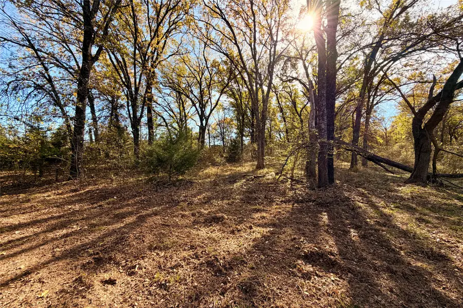 18050 Terrace Drive, Kemp, TX 75143 - Image #2