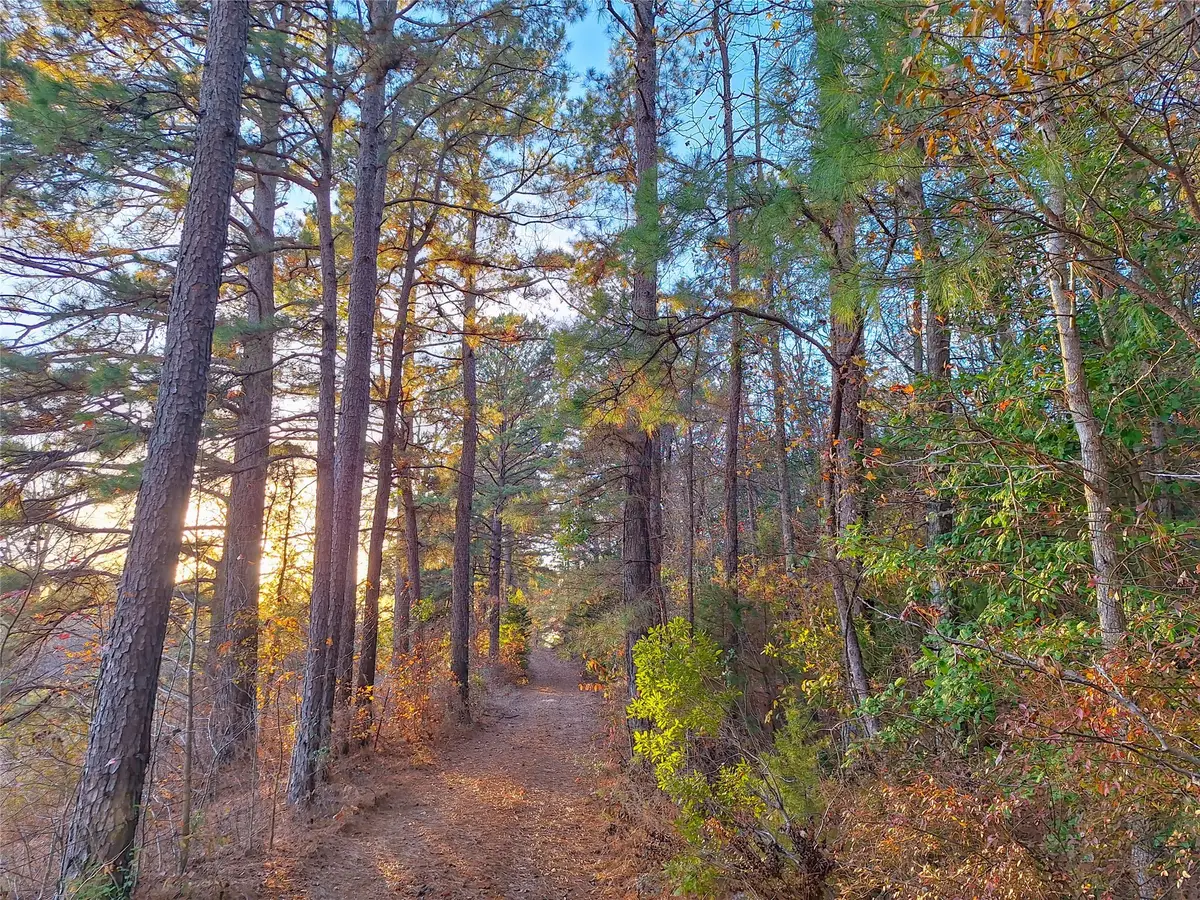 TBD County Road 2920, Hughes Springs, TX 75656 - Image #1