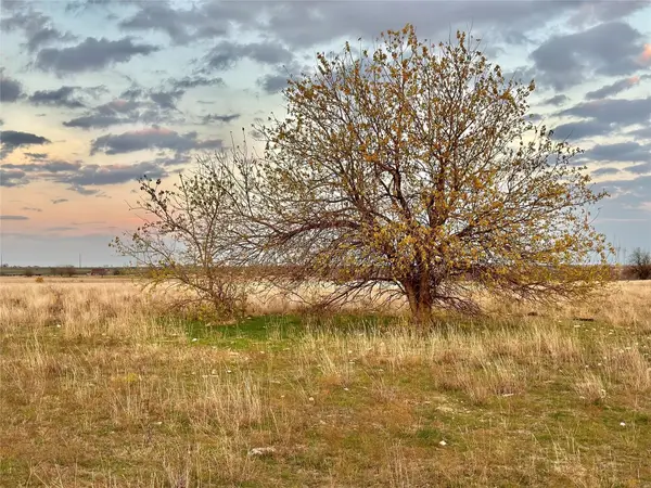 96.8 Acres County Road 353, Gainesville, TX 76240