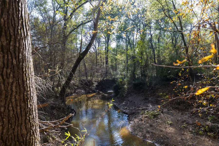 000 County Road 1135, Kennard, TX 75835 - #2