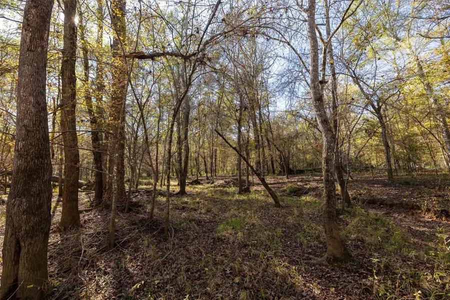 000 County Road 1135, Kennard, TX 75835 - #3