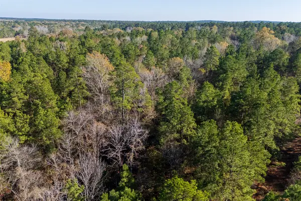 00 County Road 1135, Kennard, TX 75835