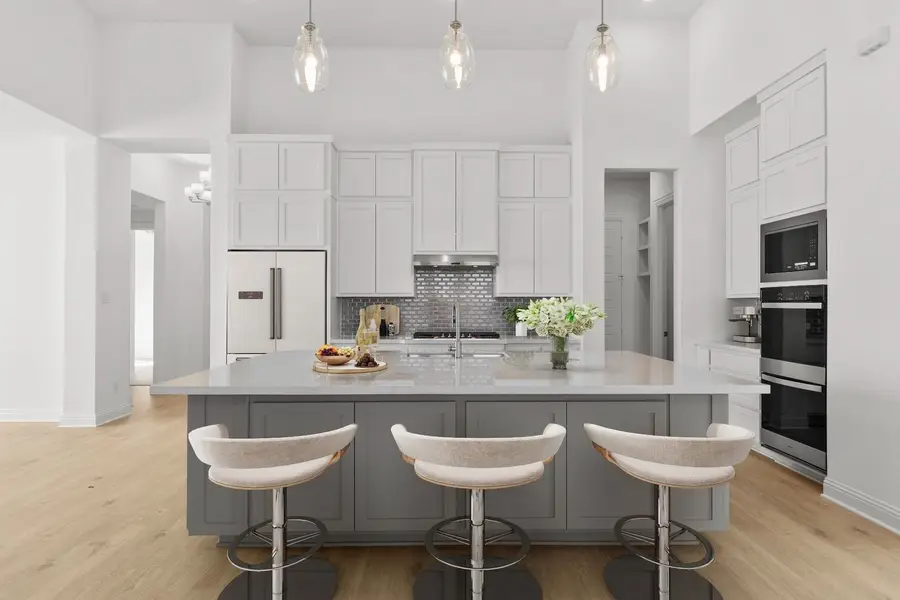 16621 Japanese Maple, Justin Roanoke, TX 76247 - Image #3