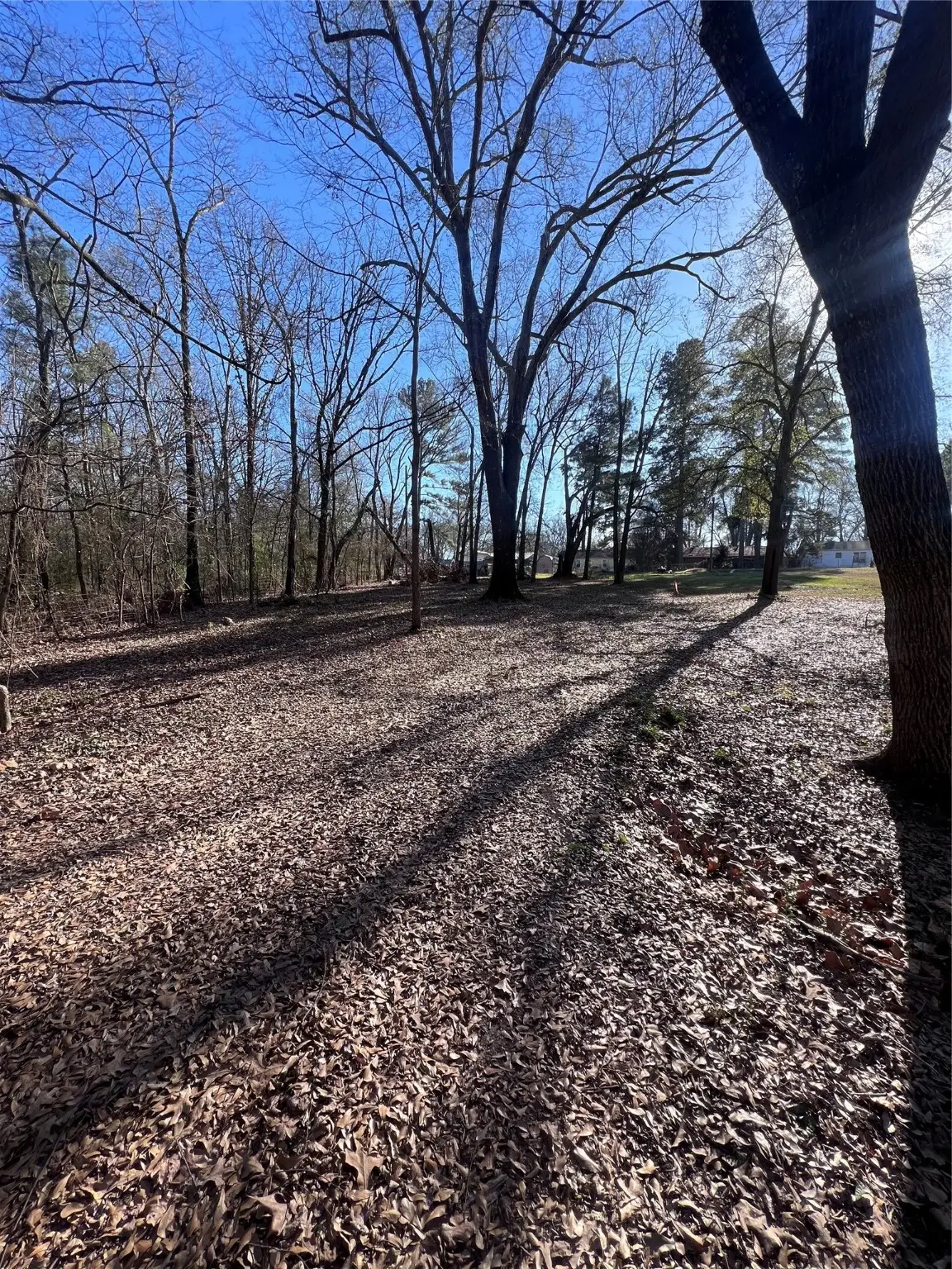 TBD Quail Run, Mount Pleasant, TX 75455 - Image #1