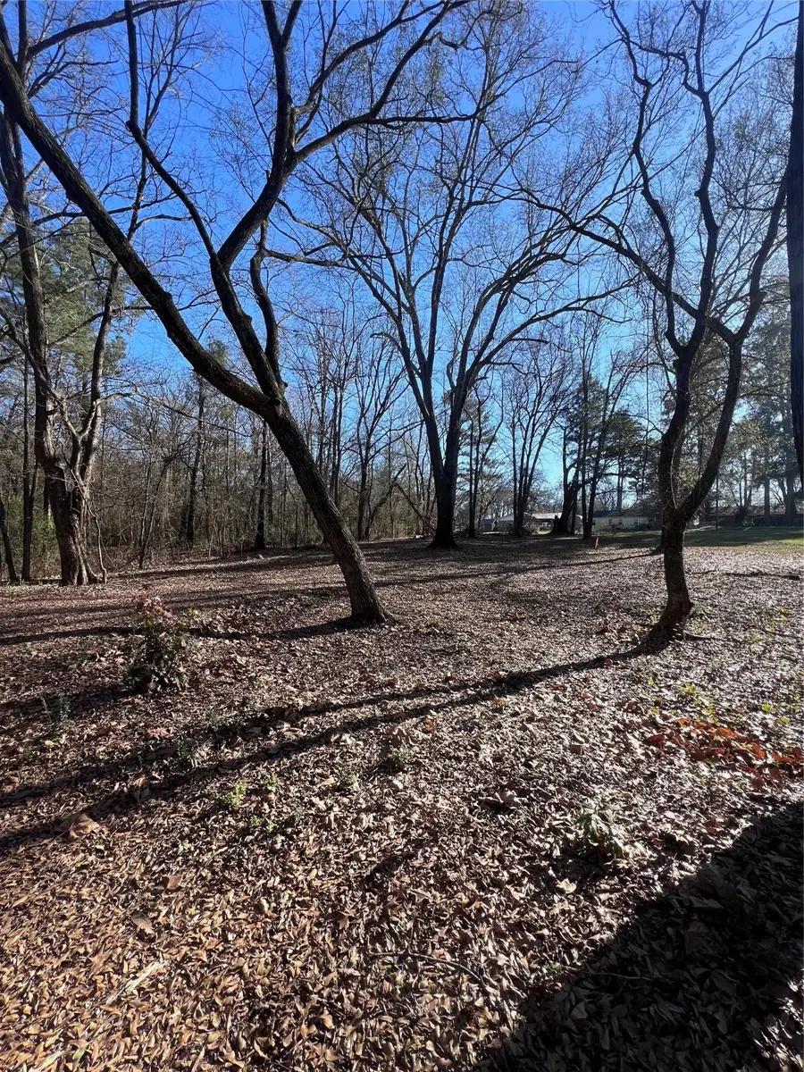 TBD Quail Run, Mount Pleasant, TX 75455 - Image #2