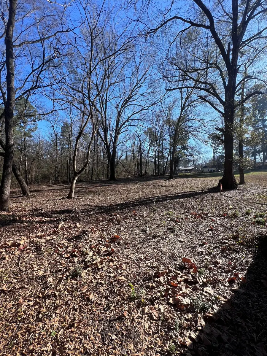 TBD Quail Run, Mount Pleasant, TX 75455 - Image #3