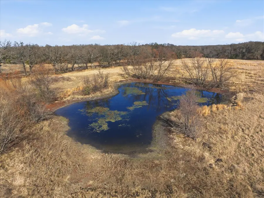 TBD Lot 1 County Road 349, Terrell, TX 75161 - Image #3