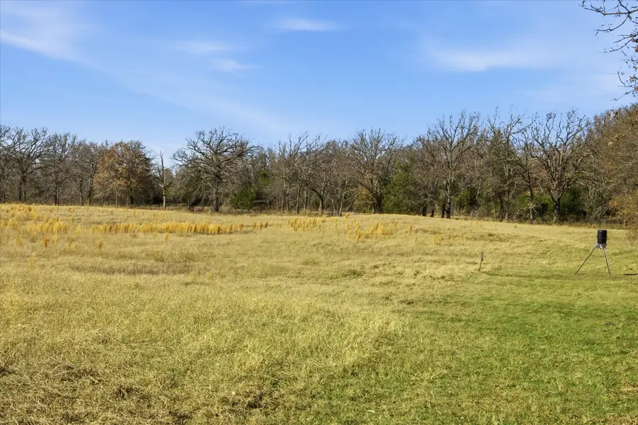TBD Lot 2 Countty Road 349, Terrell, TX 75161 - Image #2