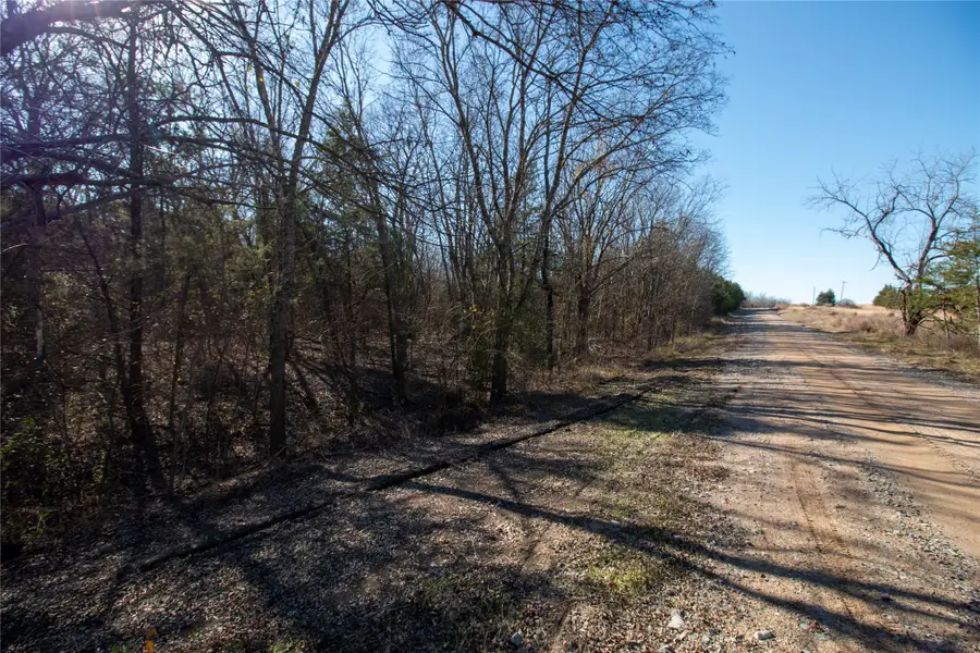 Lot 5 County Road 2905, Dodd City, TX 75438 - Image #3