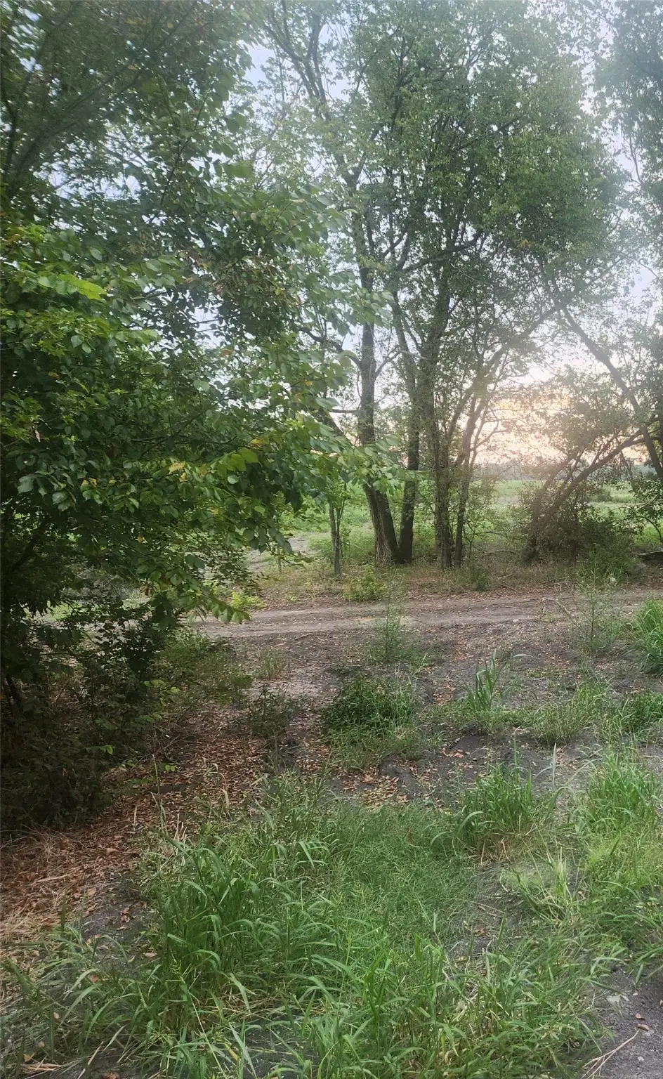 900 Brook Valley Drive #BLDG, Seagoville, TX 75159 - Image #1