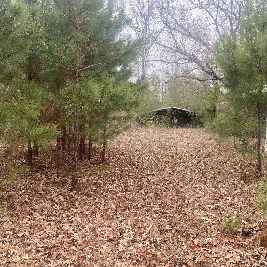 908 Wpa Rd, Mansfield, LA 71052 - Image #2