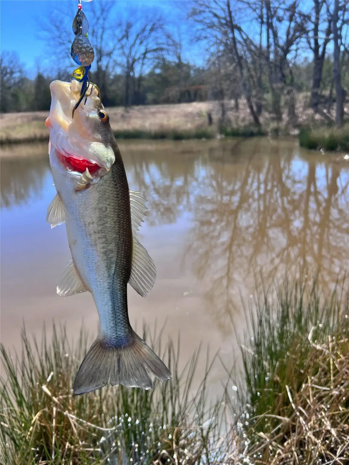 7275 Leavenworth Trail, Mead, OK 73449 - Image #1