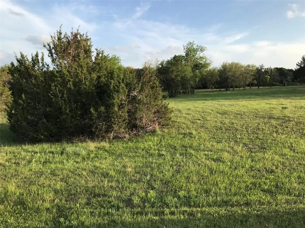 1019 White Bluff Drive, Whitney, TX 76692 - Image #1