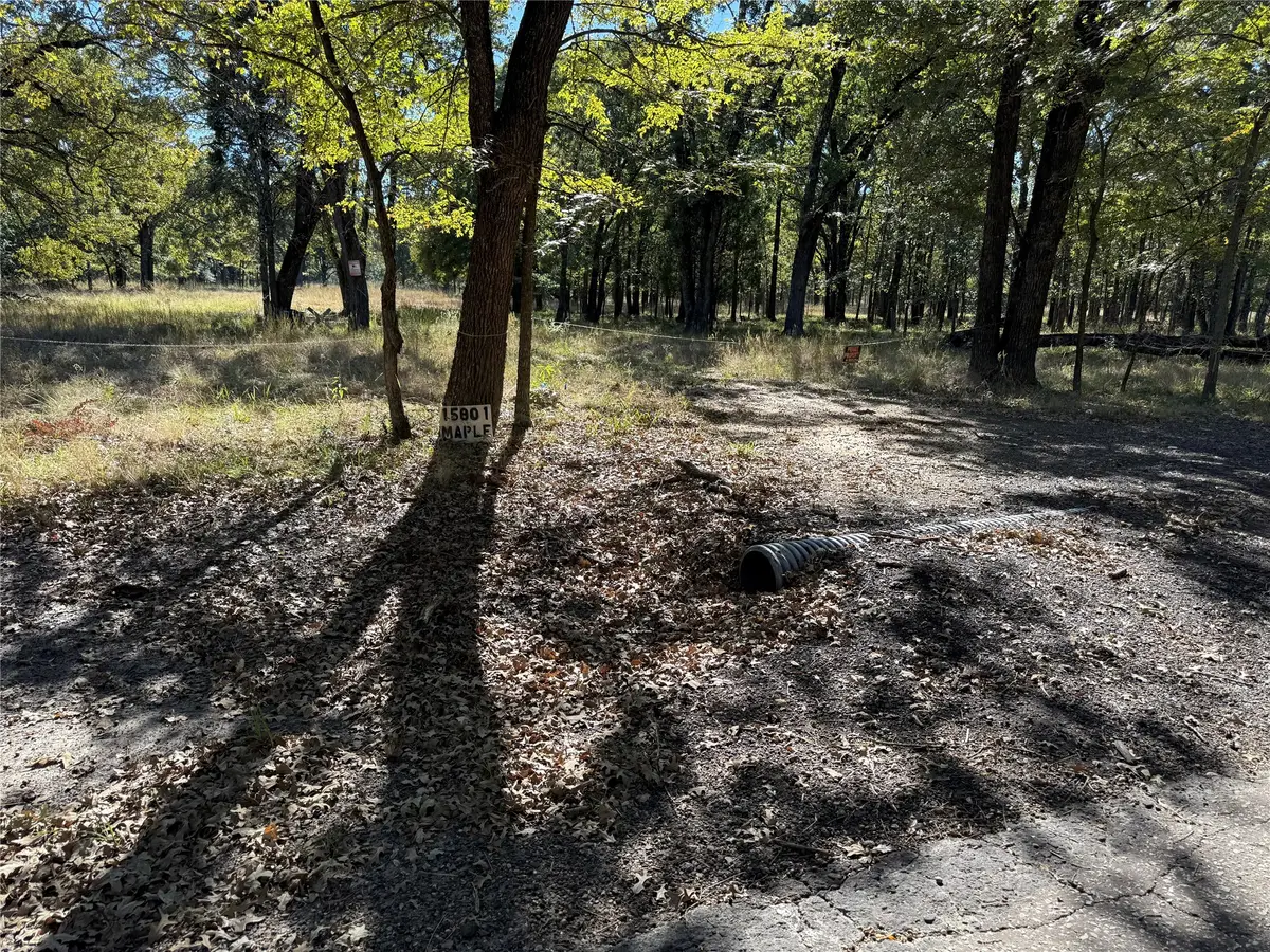 15801 Maple Lane, Malakoff, TX 75148 - #1