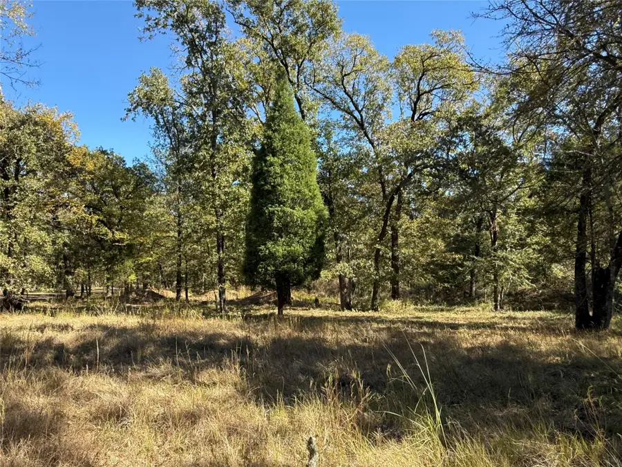 15801 Maple Lane, Malakoff, TX 75148 - #2