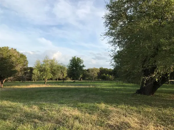 1020 White Bluff Drive, Whitney, TX 76692