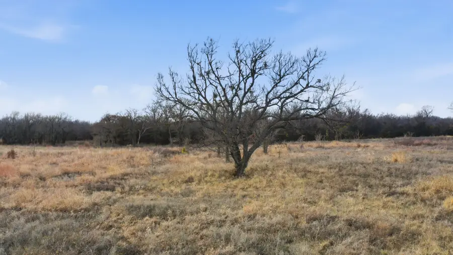 633 N Stallion Meadows Drive, Perrin, TX 76486 - Image #3