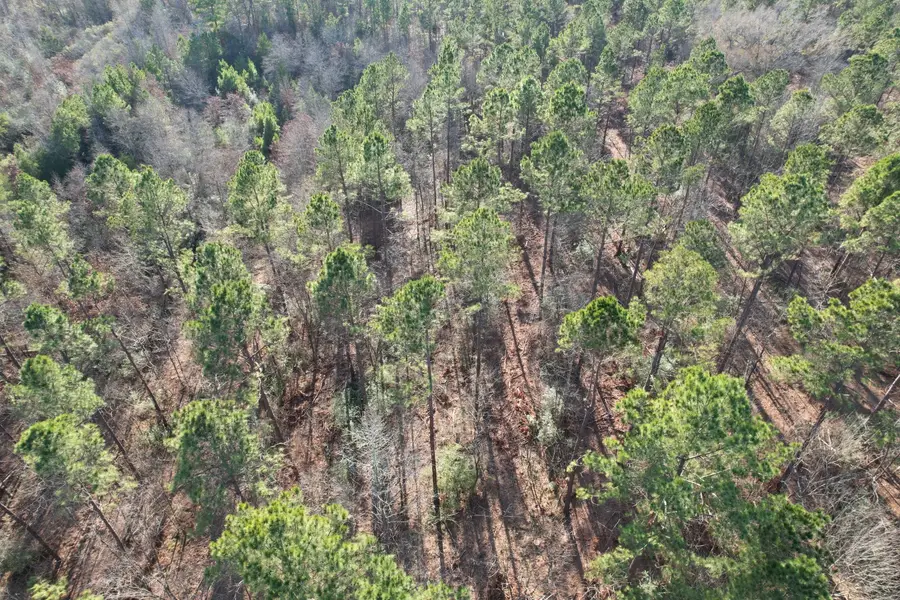 TBD-A County Road 216, Beckville, TX 75631 - #2