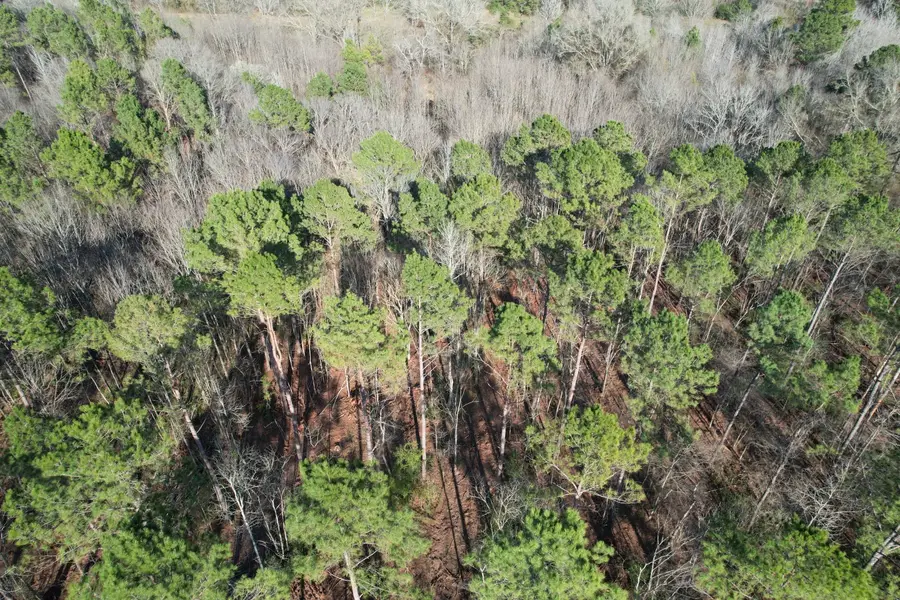 TBD-A County Road 216, Beckville, TX 75631 - #3