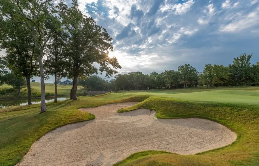 343 Palmilla Drive, Gordonville, TX 76245 - Image #3